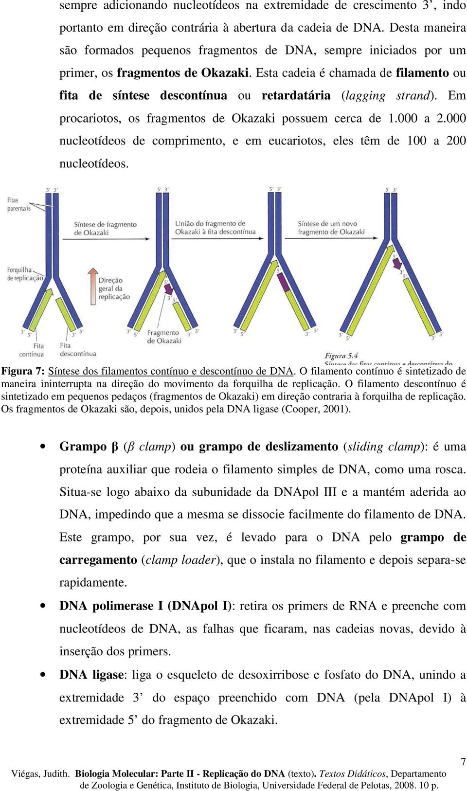 Esta cadeia é chamada de filamento ou fita de síntese descontínua ou retardatária (lagging strand). Em procariotos, os fragmentos de Okazaki possuem cerca de 1.000 a 2.