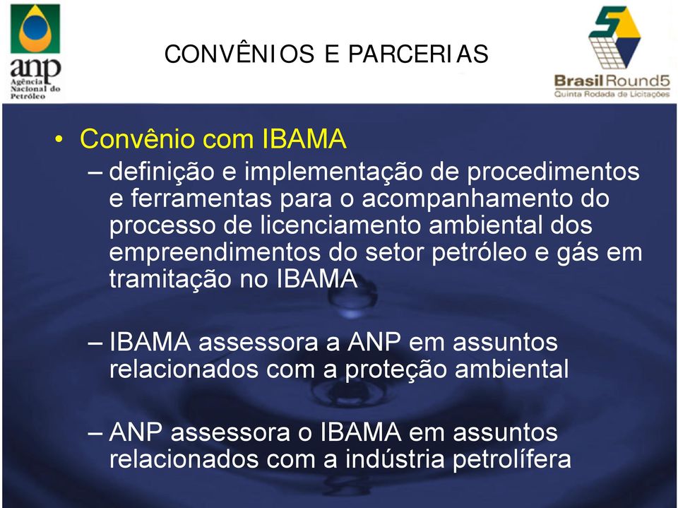 do setor petróleo e gás em tramitação no IBAMA IBAMA assessora a ANP em assuntos