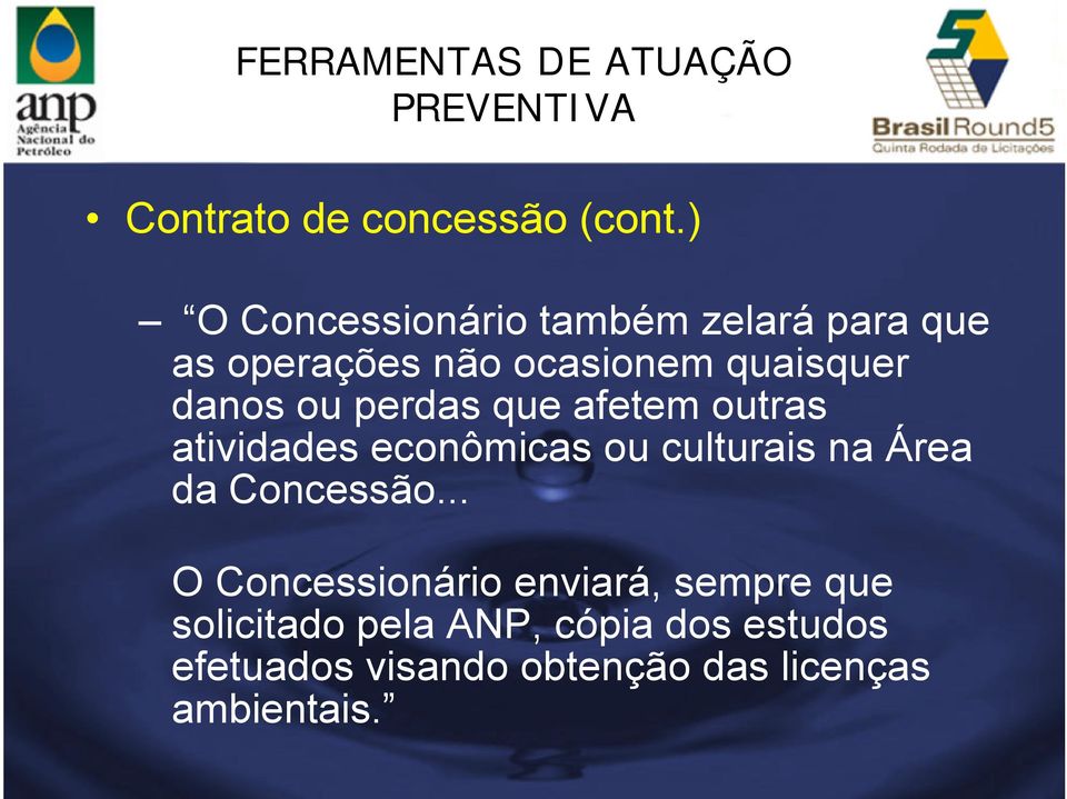 perdas que afetem outras atividades econômicas ou culturais na Área da Concessão.