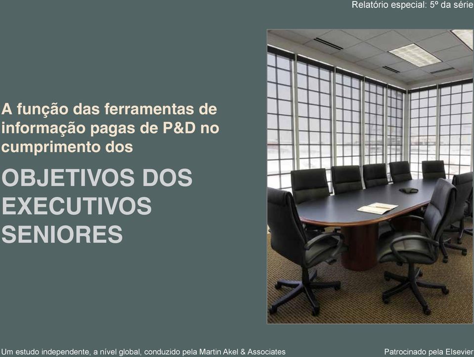 EXECUTIVOS SENIORES Um estudo independente, a nível global,