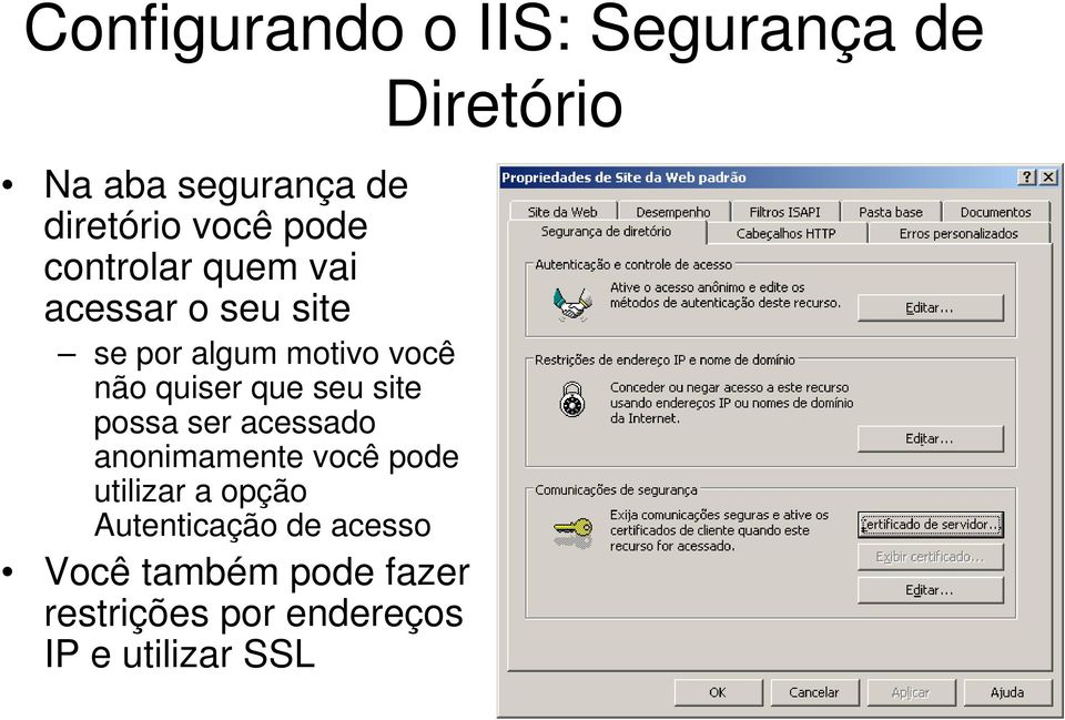 seu site possa ser acessado anonimamente você pode utilizar a opção