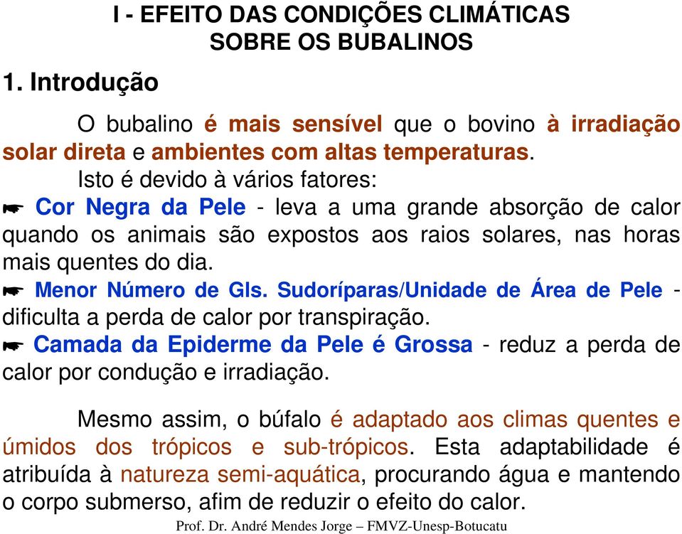 Sudoríparas/Unidade de Área de Pele - dificulta a perda de calor por transpiração. Camada da Epiderme da Pele é Grossa - reduz a perda de calor por condução e irradiação.