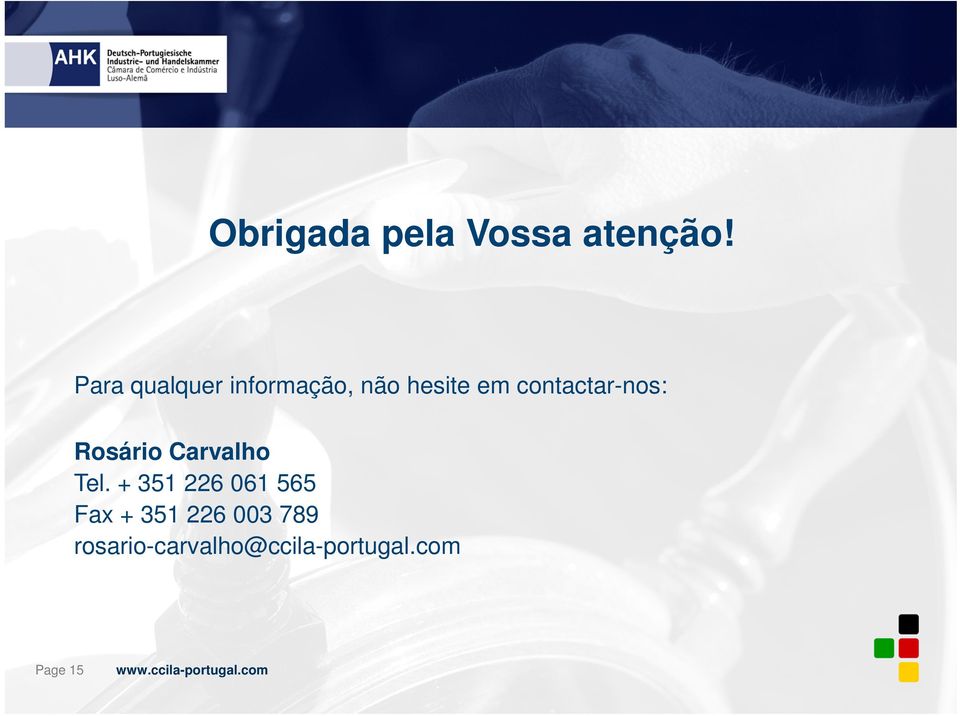 contactar-nos: Rosário Carvalho Tel.