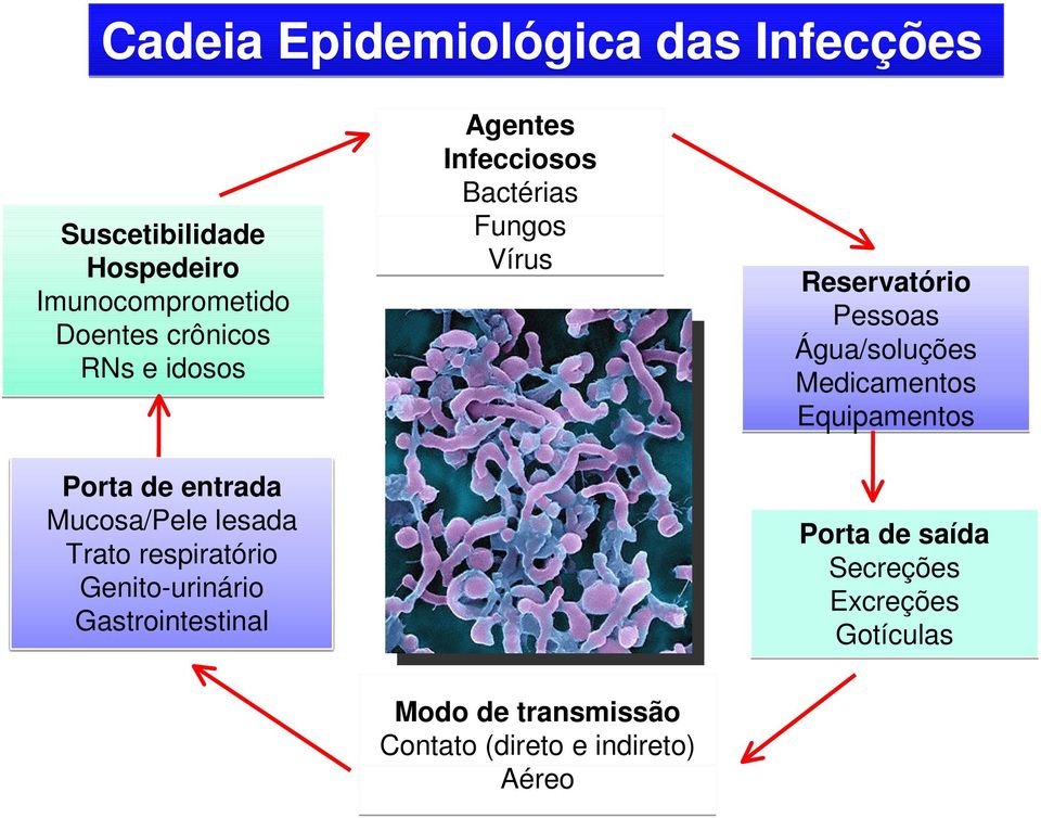 Agentes Infecciosos Bactérias Fungos Vírus Reservatório Pessoas Água/soluções Medicamentos