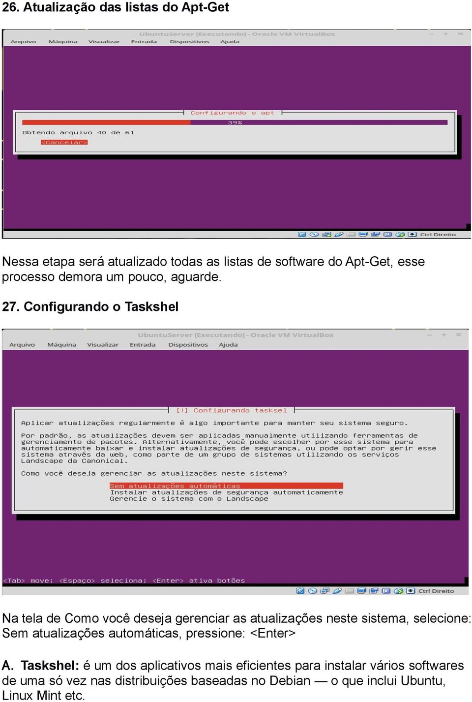 Configurando o Taskshel Na tela de Como você deseja gerenciar as atualizações neste sistema, selecione: Sem