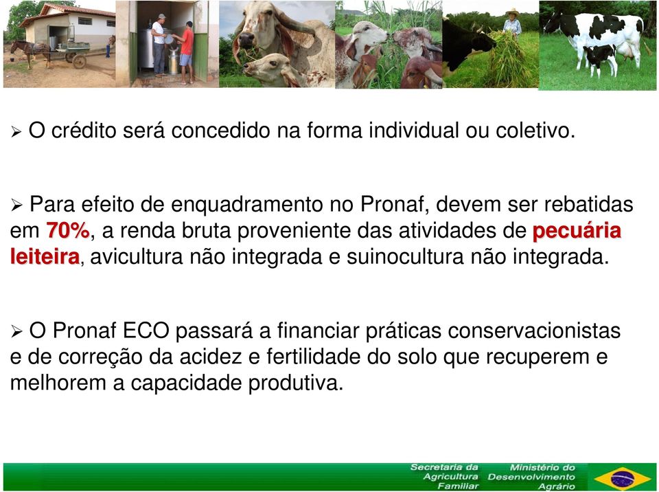 atividades de pecuária leiteira, avicultura não integrada e suinocultura não integrada.