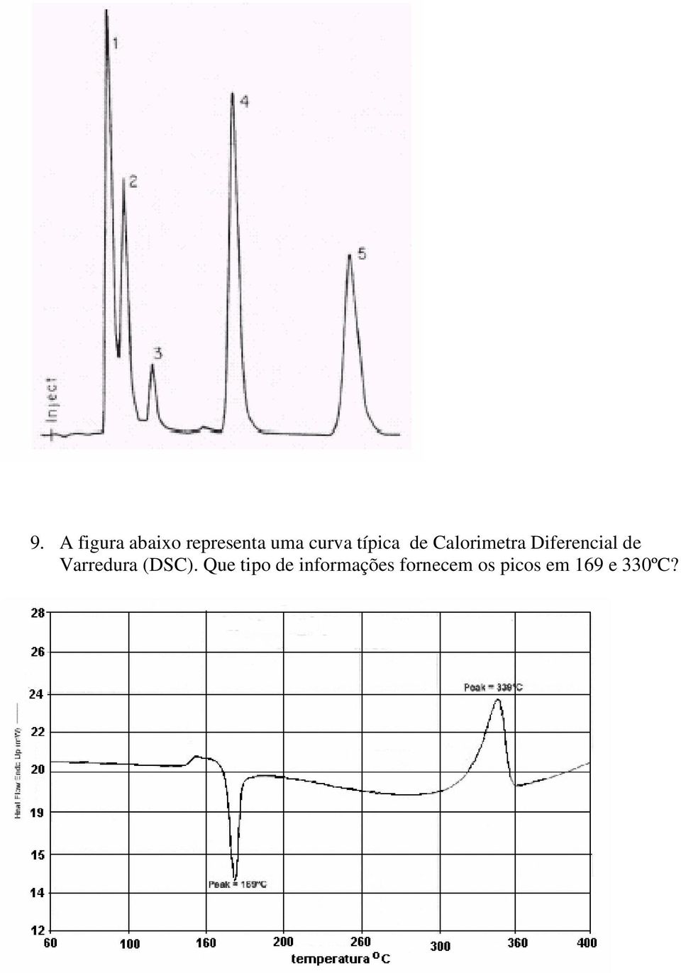 Diferencial de Varredura (DSC).