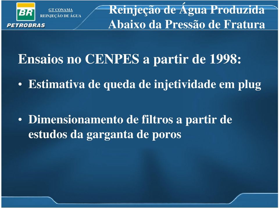 Estimativa de queda de injetividade em plug