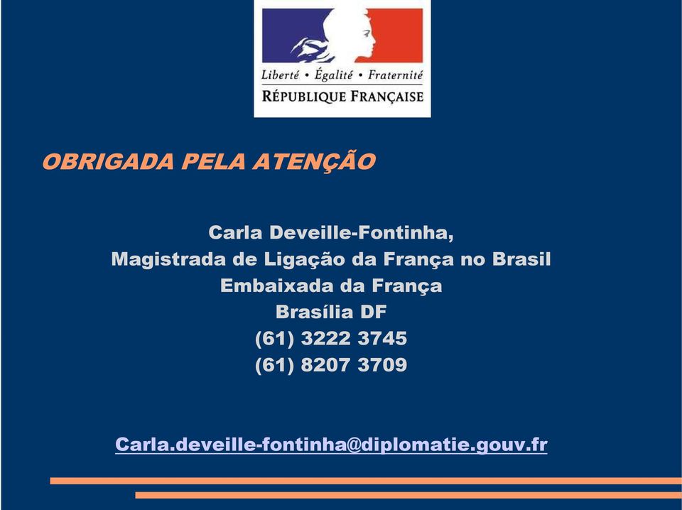 Embaixada da França Brasília DF (61) 3222 3745