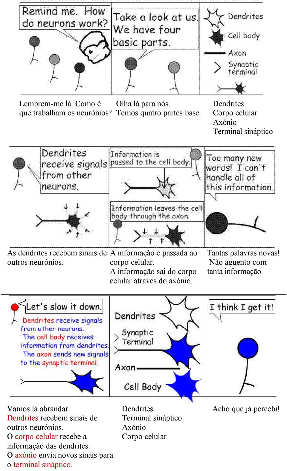 corpo celular. Não aguento com A informação sai do corpo tanta informação. celular através do axónio. Vamos lá abrandar.