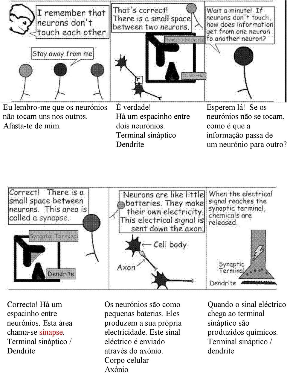 Esta área chama-se sinapse. Terminal sináptico / Dendrite Os neurónios são como pequenas baterias. Eles produzem a sua própria electricidade.