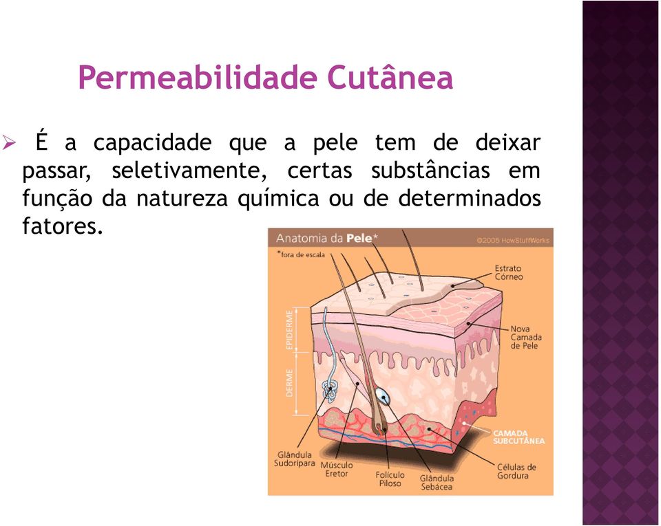 seletivamente, certas substâncias em