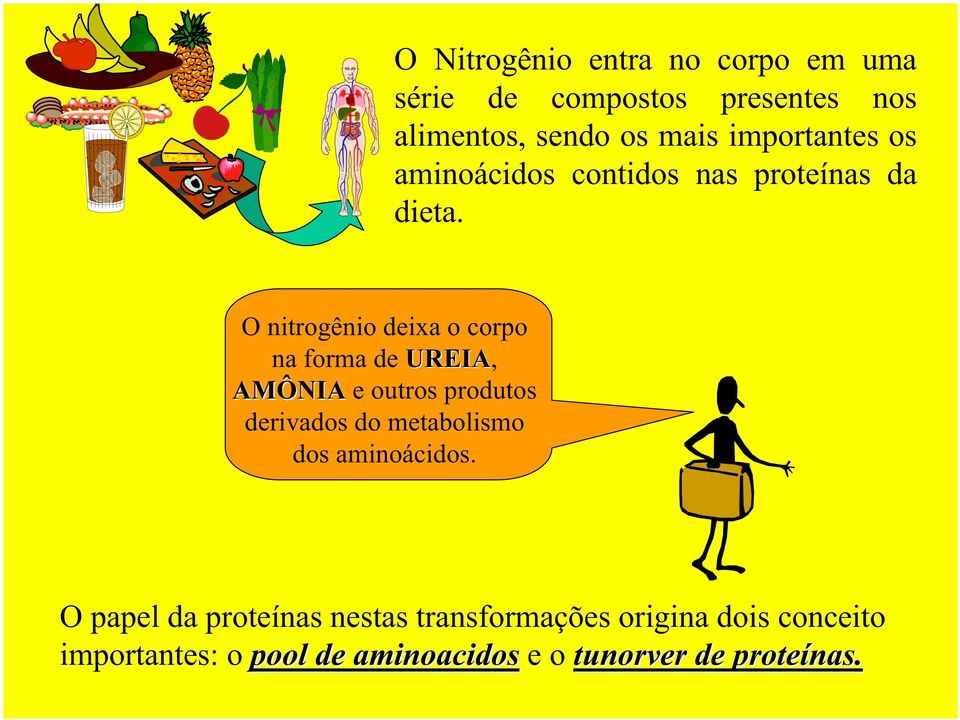 O nitrogênio deixa o corpo na forma de UREIA, AMÔNIA e outros produtos derivados do metabolismo