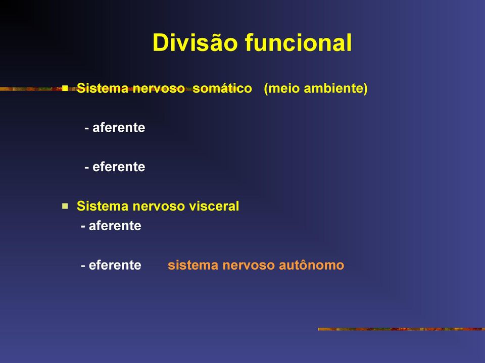 eferente Sistema nervoso visceral -