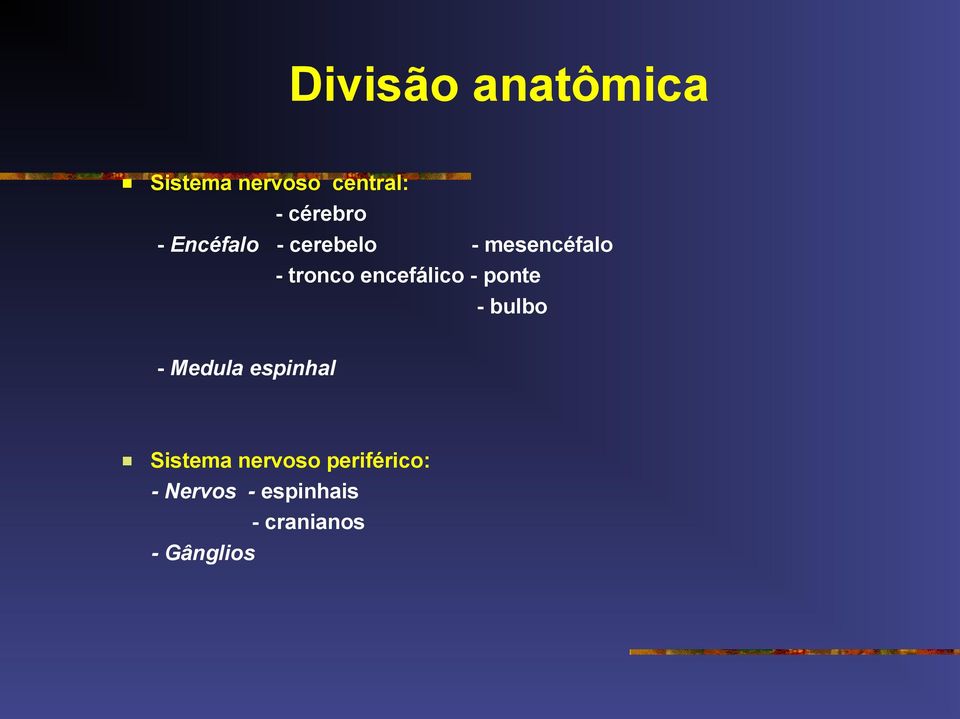 encefálico - ponte - bulbo - Medula espinhal Sistema