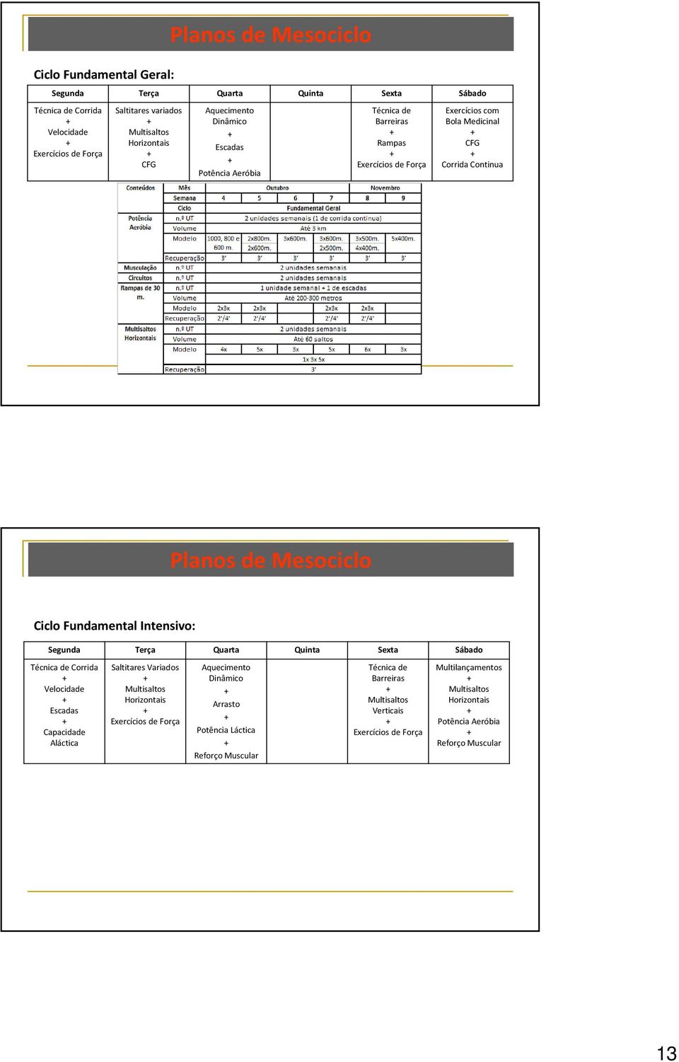 Ciclo Fundamental Intensivo: Segunda Terça Quarta Quinta Sexta Sábado Técnica de Corrida Escadas Capacidade Aláctica Saltitares Variados Horizontais Exercícios de Força