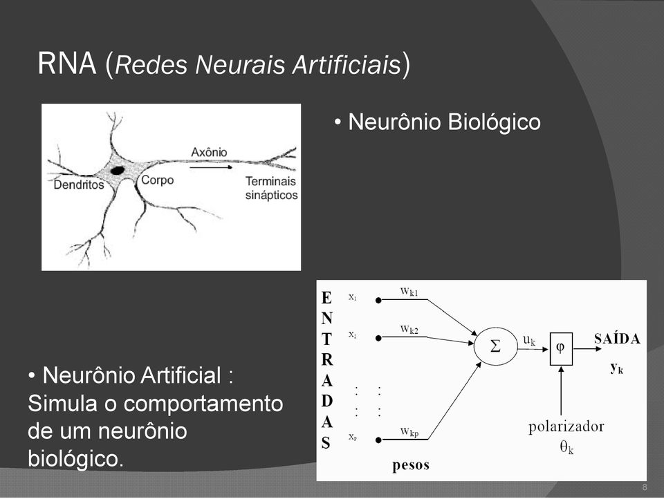 Biológico Neurônio Artificial