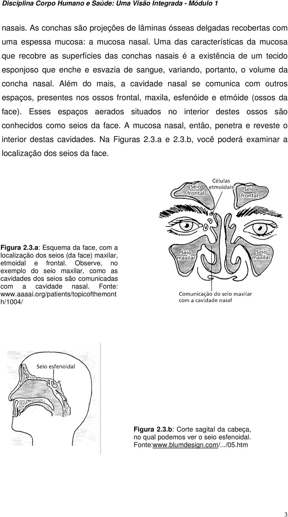 Além do mais, a cavidade nasal se comunica com outros espaços, presentes nos ossos frontal, maxila, esfenóide e etmóide (ossos da face).