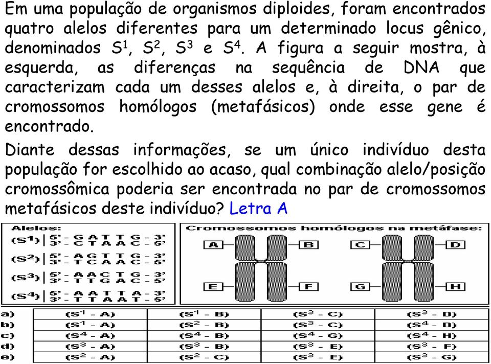 A figura a seguir mostra, à esquerda, as diferenças na sequência de DNA que caracterizam cada um desses alelos e, à direita, o par de
