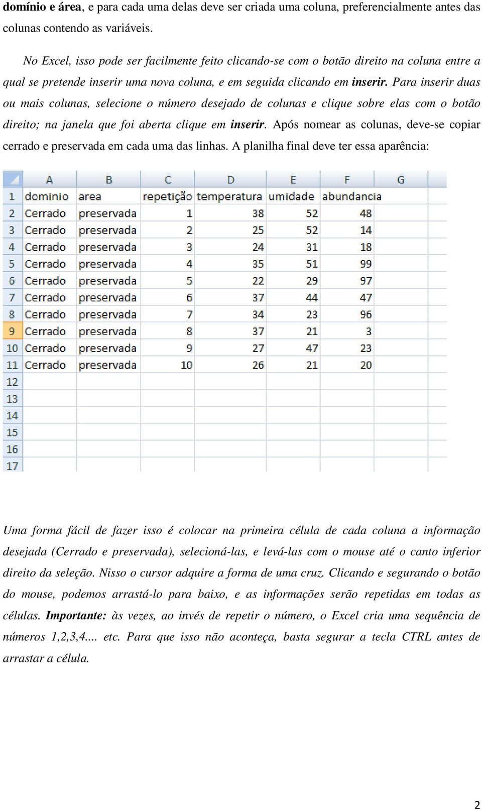 Para inserir duas ou mais colunas, selecione o número desejado de colunas e clique sobre elas com o botão direito; na janela que foi aberta clique em inserir.