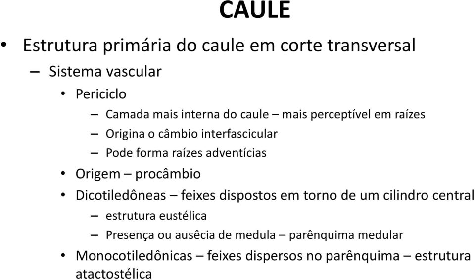 procâmbio Dicotiledôneas feixes dispostos em torno de um cilindro central estrutura eustélica Presença ou