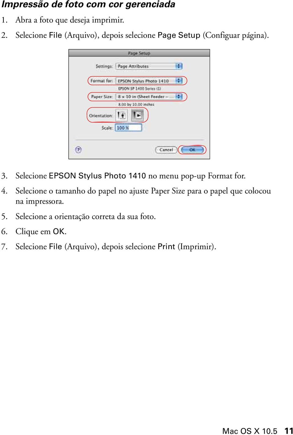 Selecione EPSON Stylus Photo 1410 no menu pop-up Format for. 4.
