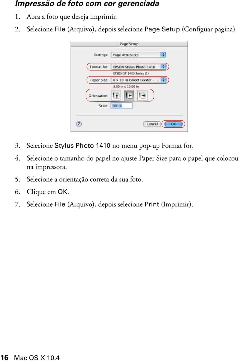 Selecione Stylus Photo 1410 no menu pop-up Format for. 4.
