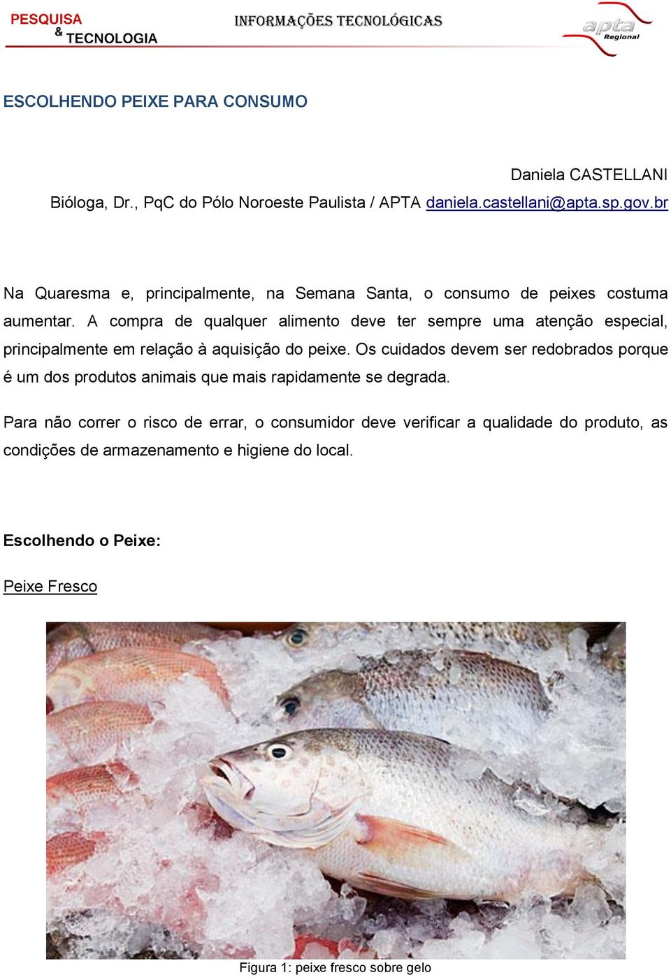 A compra de qualquer alimento deve ter sempre uma atenção especial, principalmente em relação à aquisição do peixe.