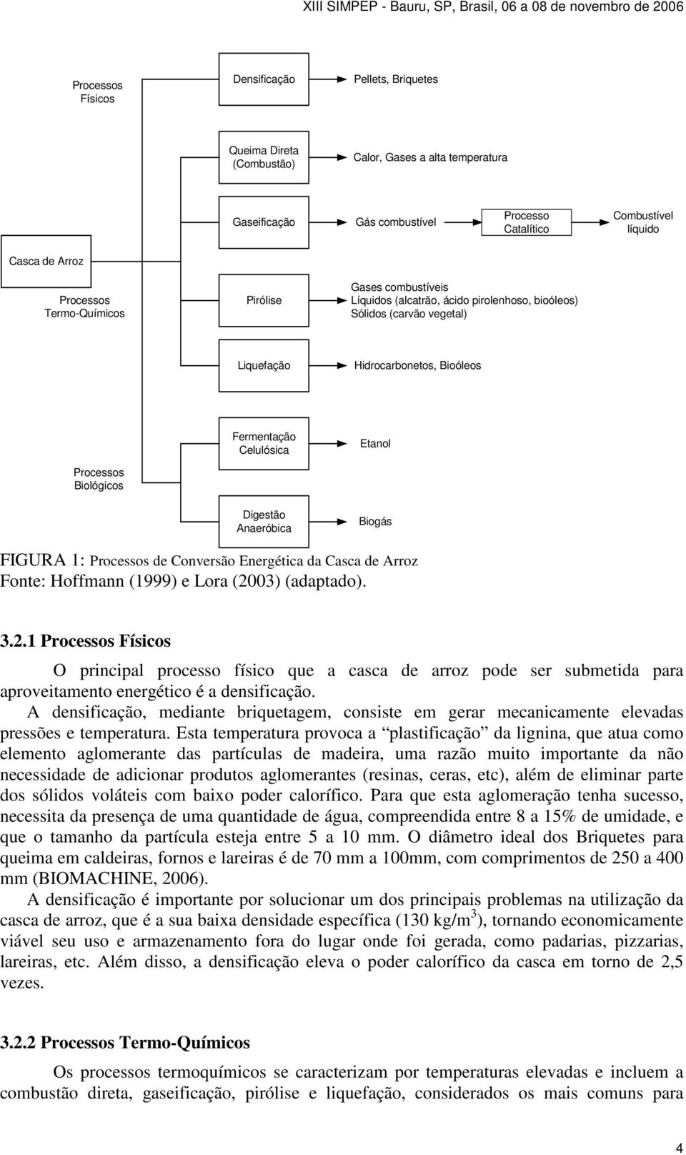 Celulósica Etanol Digestão Anaeróbica Biogás FIGURA 1: Processos de Conversão Energética da Casca de Arroz Fonte: Hoffmann (1999) e Lora (20