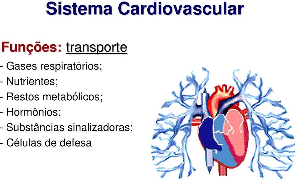 Nutrientes; - Restos metabólicos; -