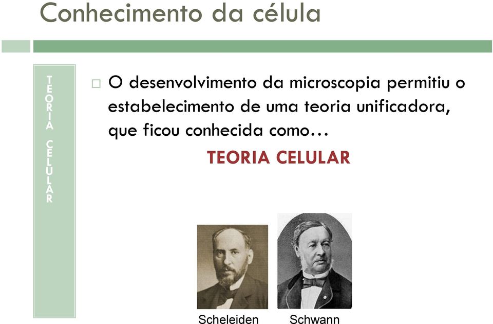 uma teoria unificadora, que ficou