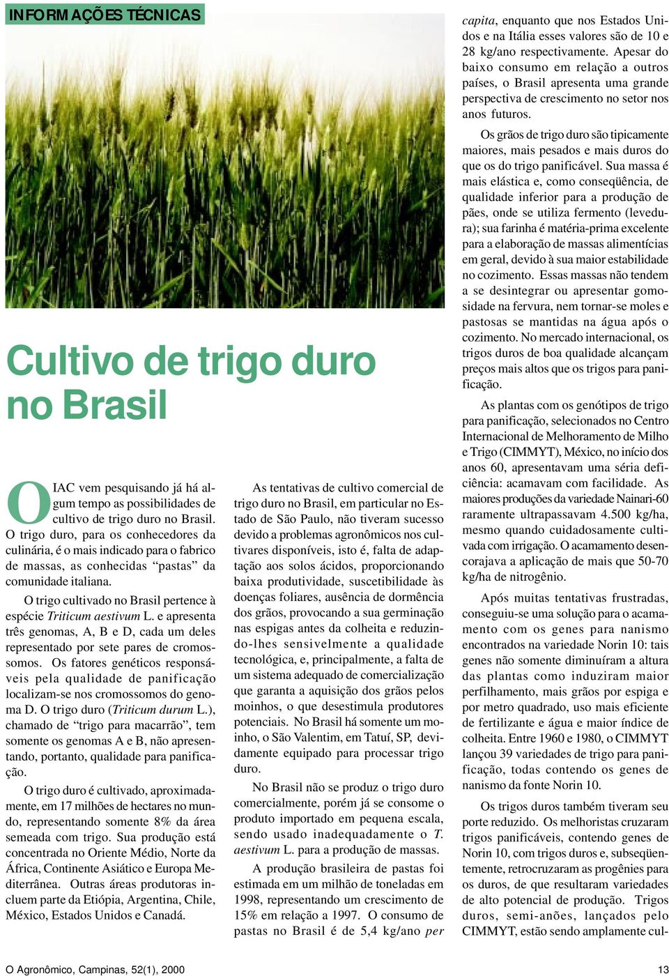 O trigo cultivado no Brasil pertence à espécie Triticum aestivum L. e apresenta três genomas, A, B e D, cada um deles representado por sete pares de cromossomos.