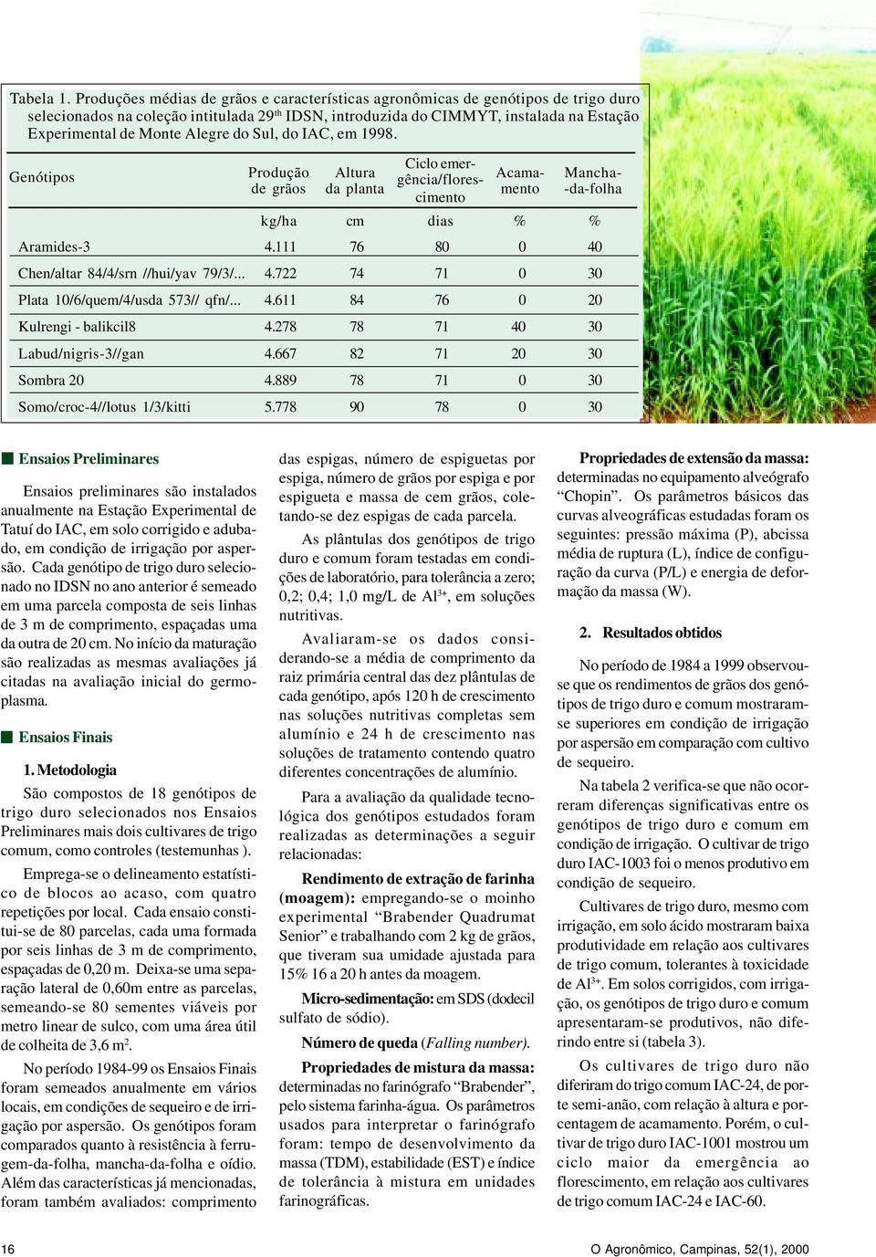 Alegre do Sul, do IAC, em 1998. Ciclo emer- Produção Altura Acama- Manchade grãos da planta gência/flores- mento -da-folha cimento kg/ha cm dias % % Aramides-3 4.