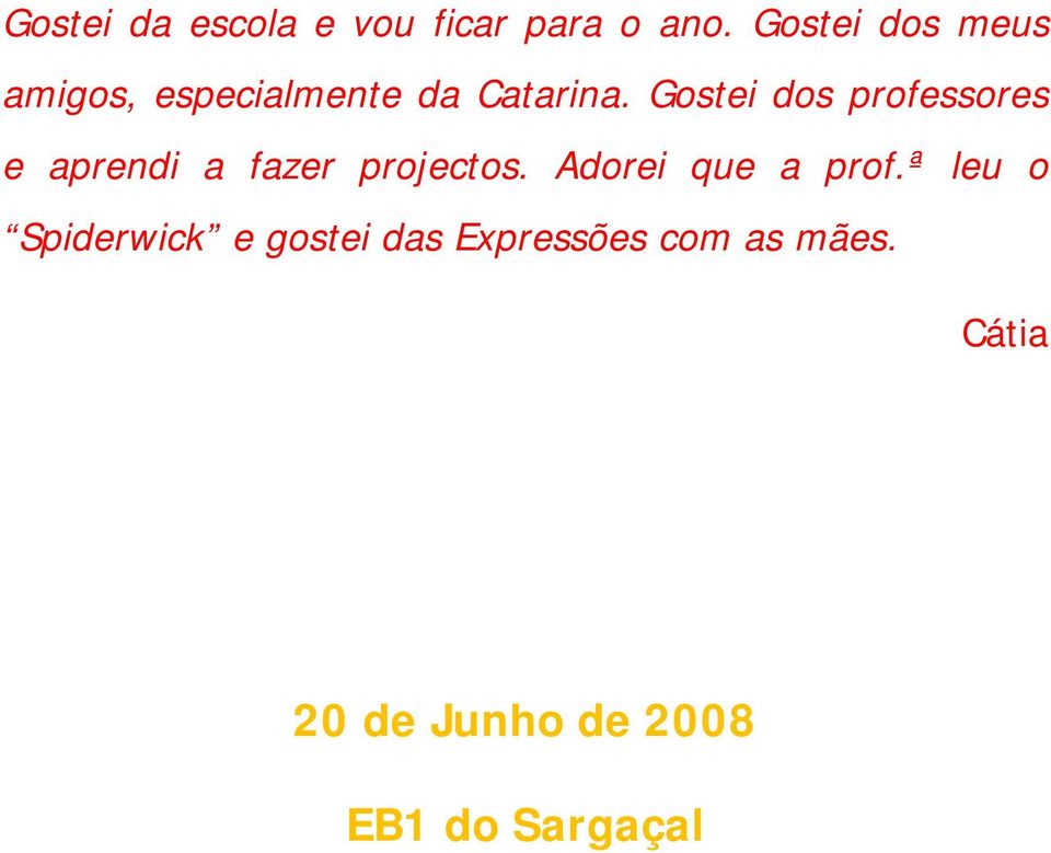 Gostei dos professores e aprendi a fazer projectos.