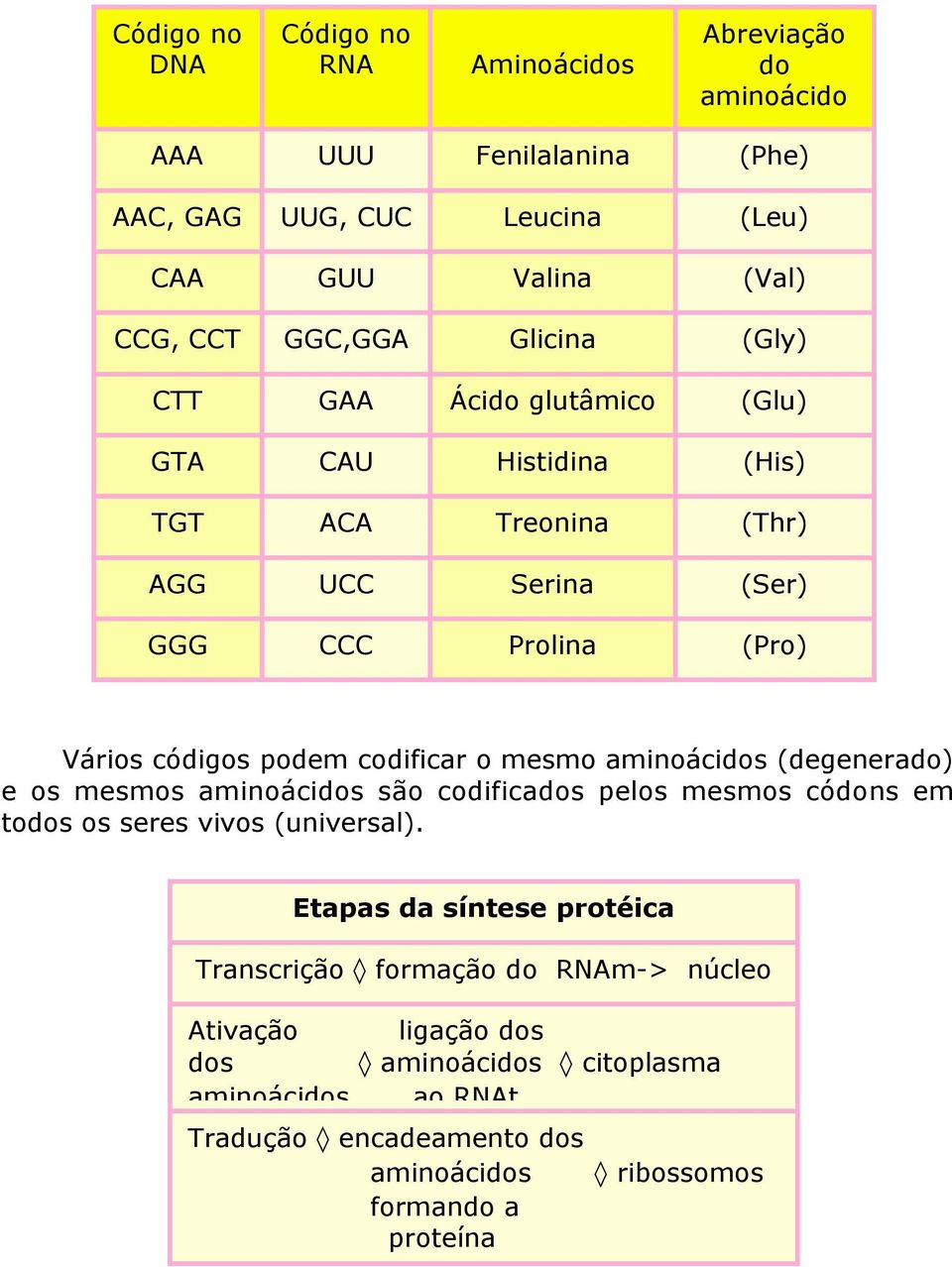 o mesmo aminoácidos (degenerado) e os mesmos aminoácidos são codificados pelos mesmos códons em todos os seres vivos (universal).