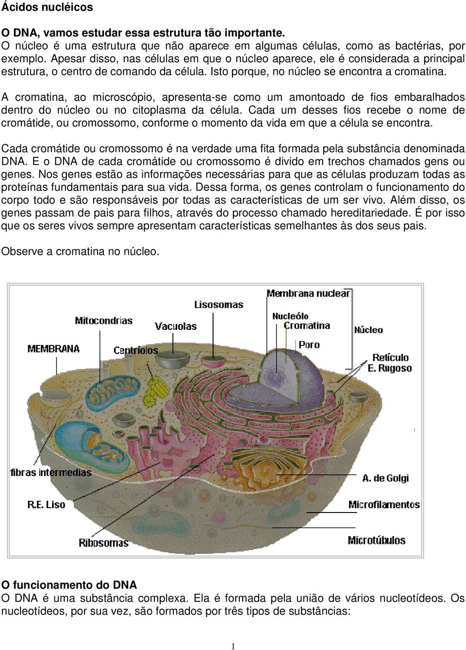 A cromatina, ao microscópio, apresenta-se como um amontoado de fios embaralhados dentro do núcleo ou no citoplasma da célula.