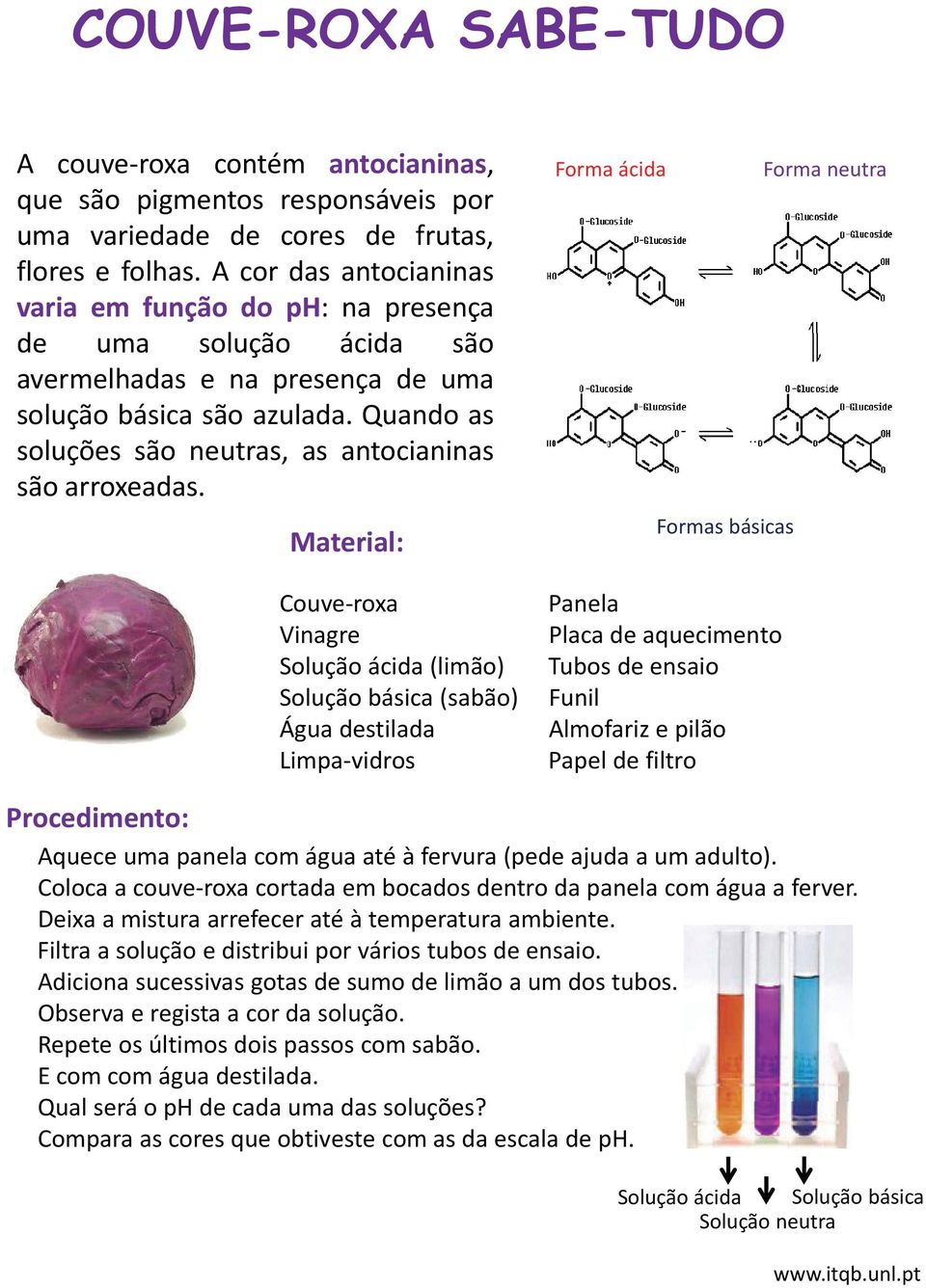 Quando as soluções são neutras, as antocianinas são arroxeadas.