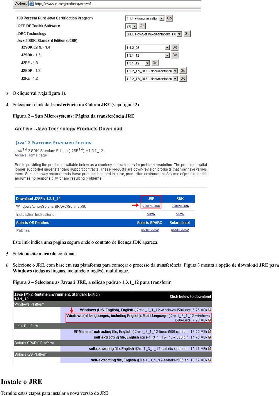 Seleto aceite o acordo continuar. Selecione o JRE, com base em sua plataforma para começar o processo da transferência.