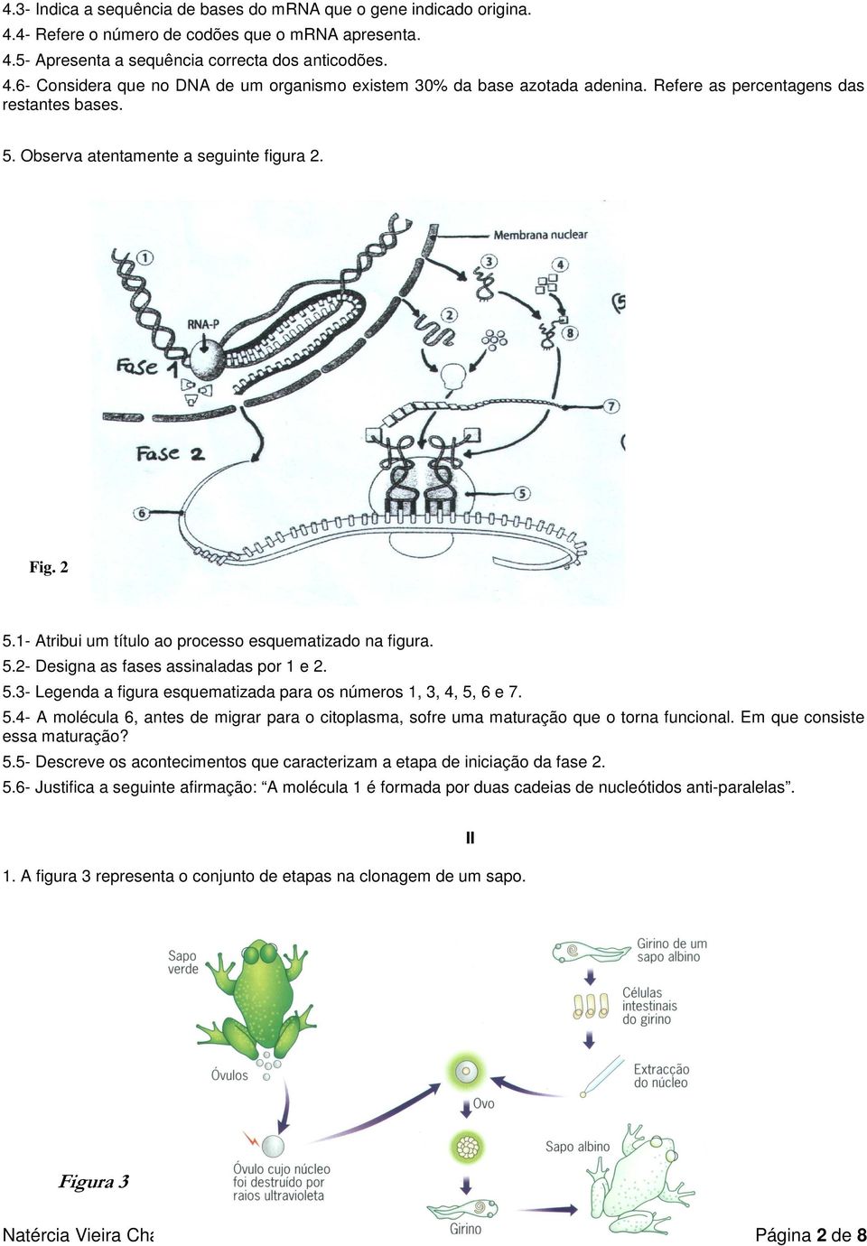 5.3- Legenda a figura esquematizada para os números 1, 3, 4, 5, 6 e 7. 5.4- A molécula 6, antes de migrar para o citoplasma, sofre uma maturação que o torna funcional. Em que consiste essa maturação?