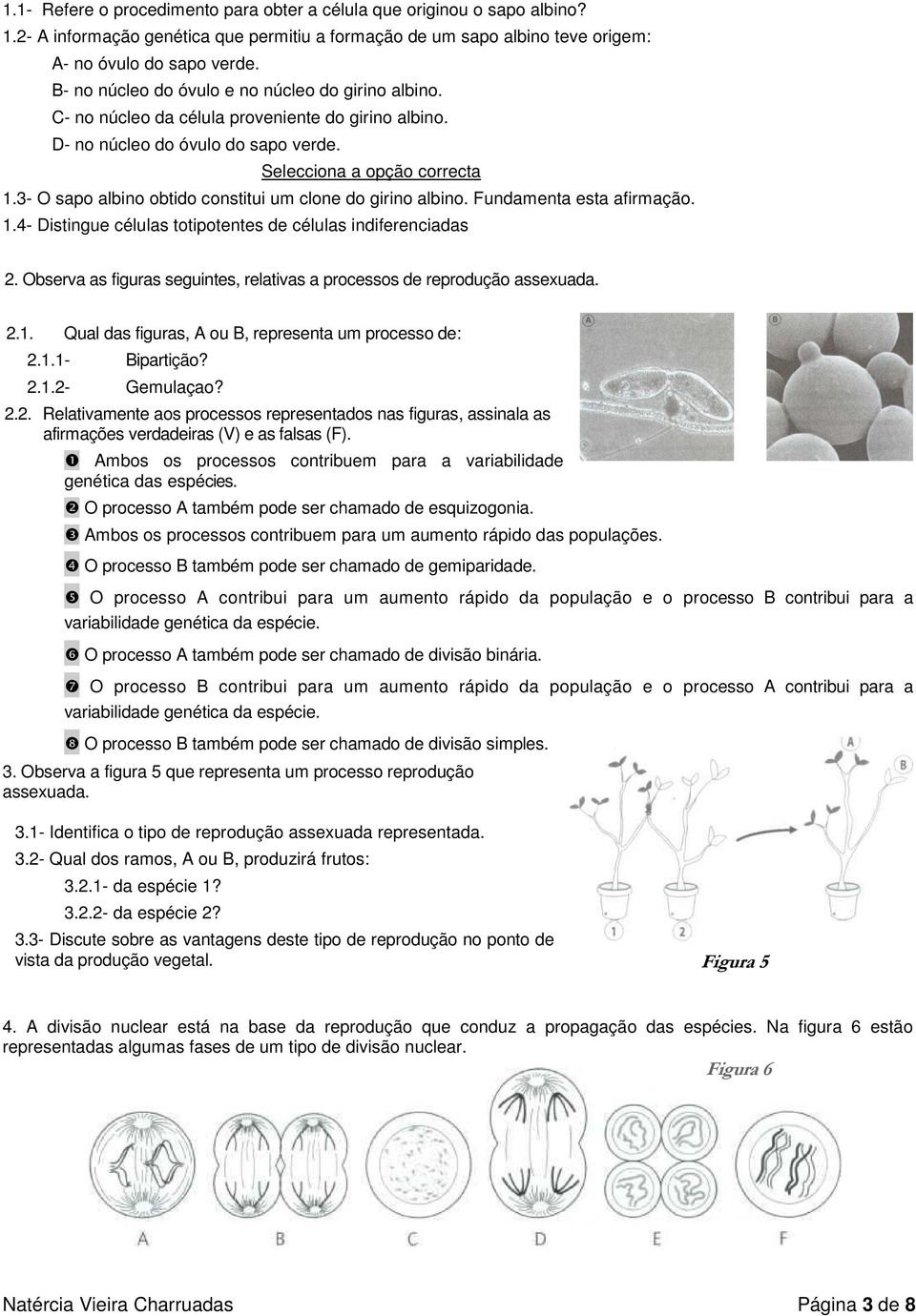 3- O sapo albino obtido constitui um clone do girino albino. Fundamenta esta afirmação. 1.4- Distingue células totipotentes de células indiferenciadas 2.