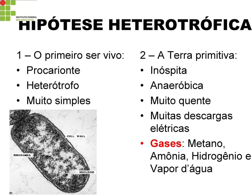 primitiva: Inóspita Anaeróbica Muito quente Muitas