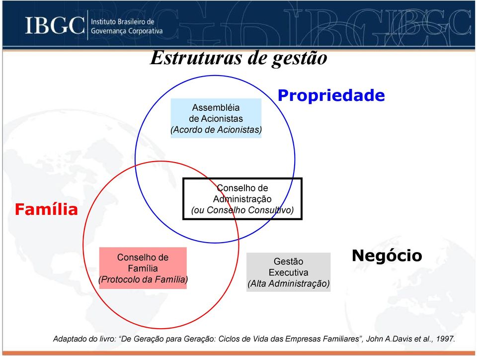 (Protocolo da Família) Gestão Executiva (Alta Administração) Negócio Adaptado do