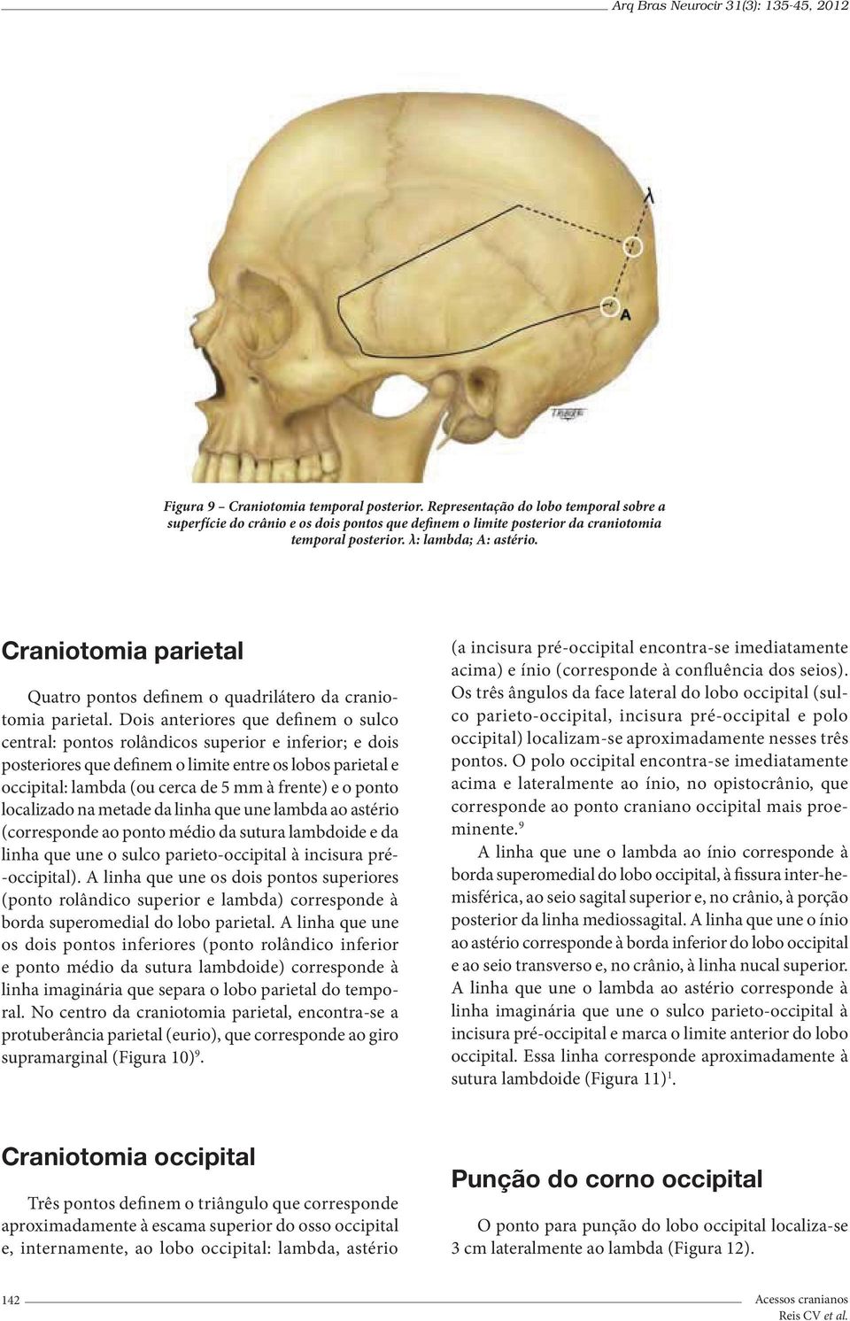 Dois anteriores que definem o sulco central: pontos rolândicos superior e inferior; e dois posteriores que definem o limite entre os lobos parietal e occipital: lambda (ou cerca de 5 mm à frente) e o