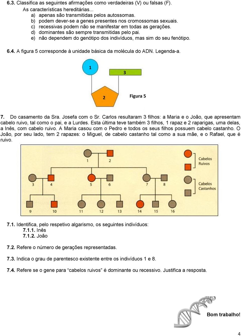 e) não dependem do genótipo dos indivíduos, mas sim do seu fenótipo. 6.4. A figura 5 corresponde à unidade básica da molécula do ADN. Legenda-a. 1 3 2 Figura 5 7. Do casamento da Sra. Josefa com o Sr.