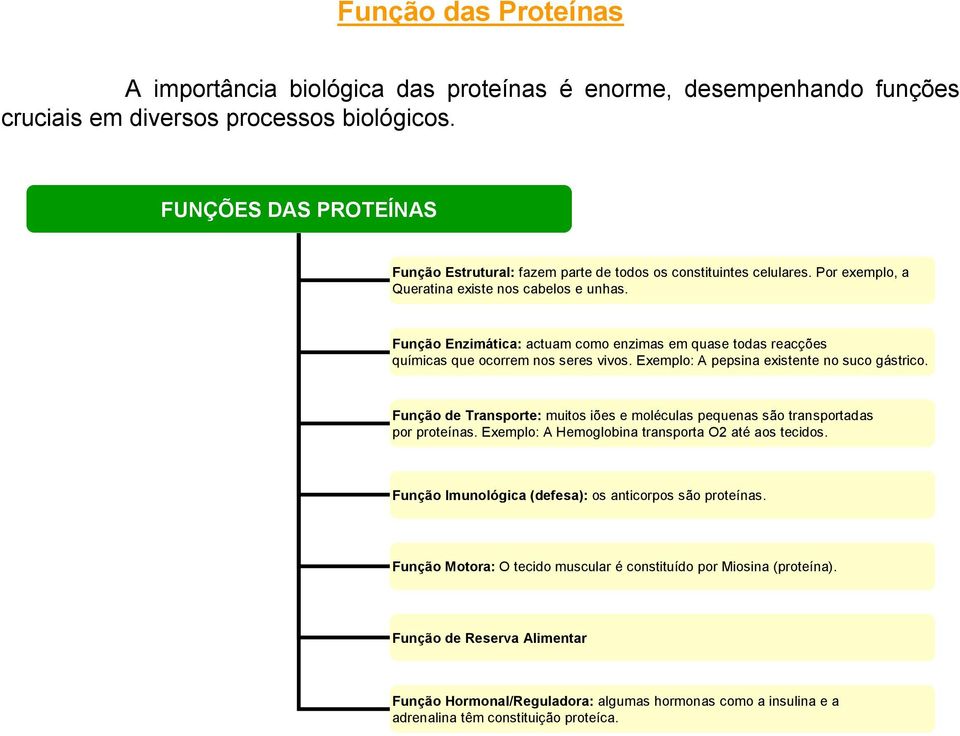 Função Enzimática: actuam como enzimas em quase todas reacções químicas que ocorrem nos seres vivos. Exemplo: A pepsina existente no suco gástrico.