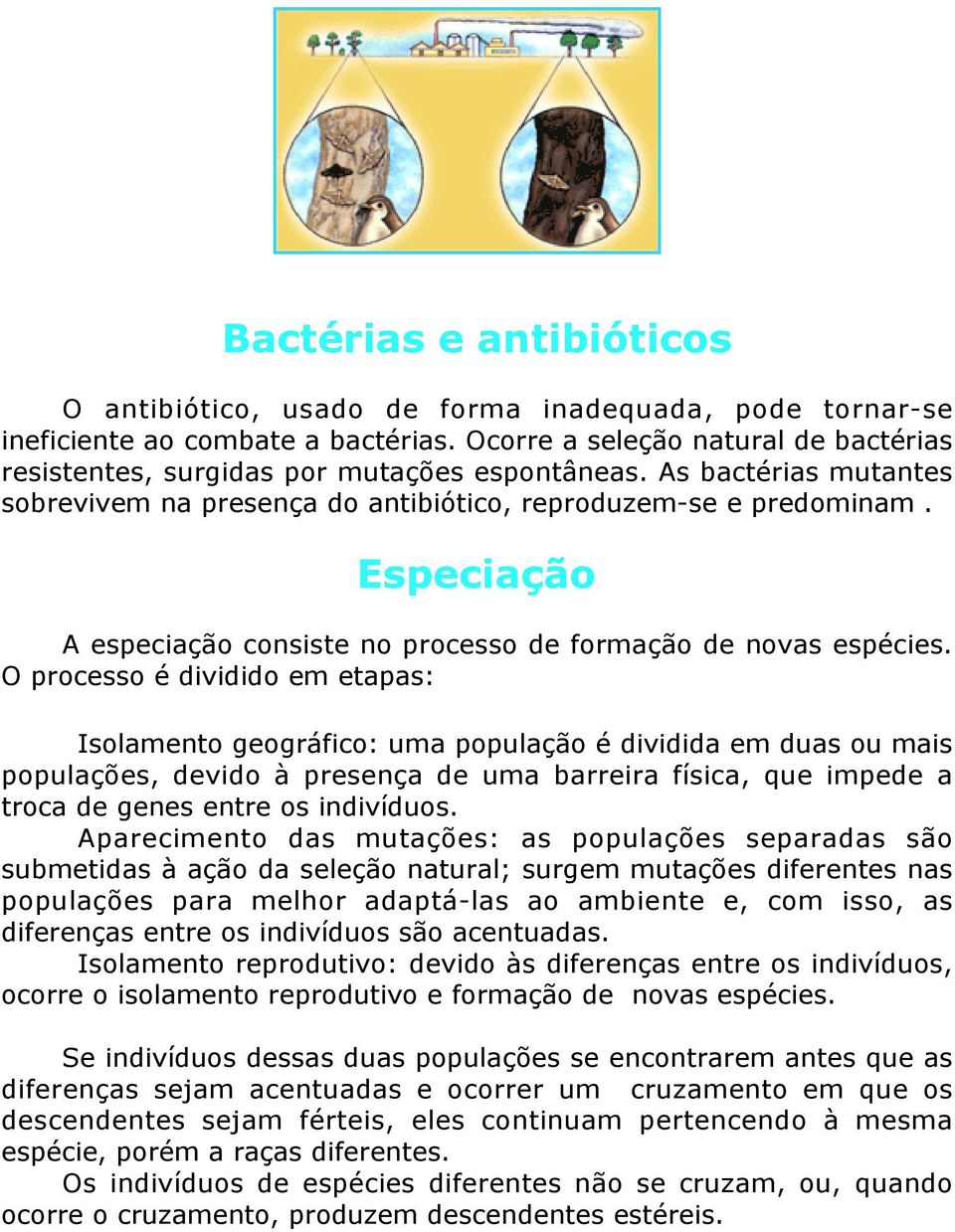 Especiação A especiação consiste no processo de formação de novas espécies.