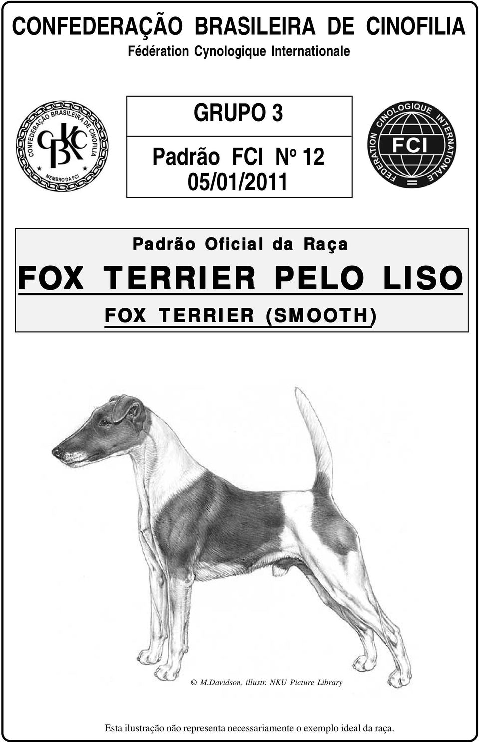 Raça FOX TERRIER PELO LISO FOX TERRIER (SMOOTH) M.Davidson, illustr.