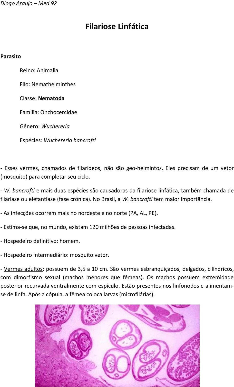 bancrofti e mais duas espécies são causadoras da filariose linfática, também chamada de filaríase ou elefantíase (fase crônica). No Brasil, a W. bancrofti tem maior importância.