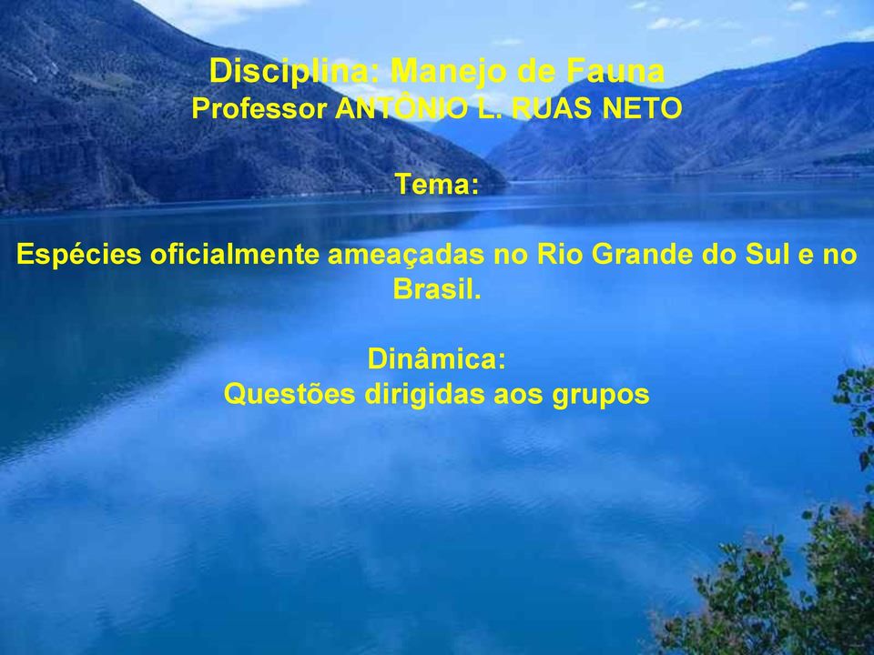 RUAS NETO Tema: Espécies oficialmente