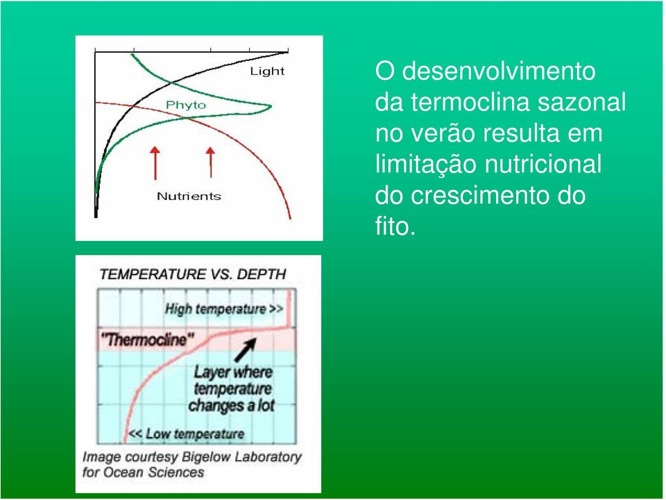 verão resulta em limitação